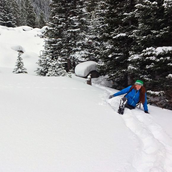 Meet your Posher, Laura - Picture 1 of 1